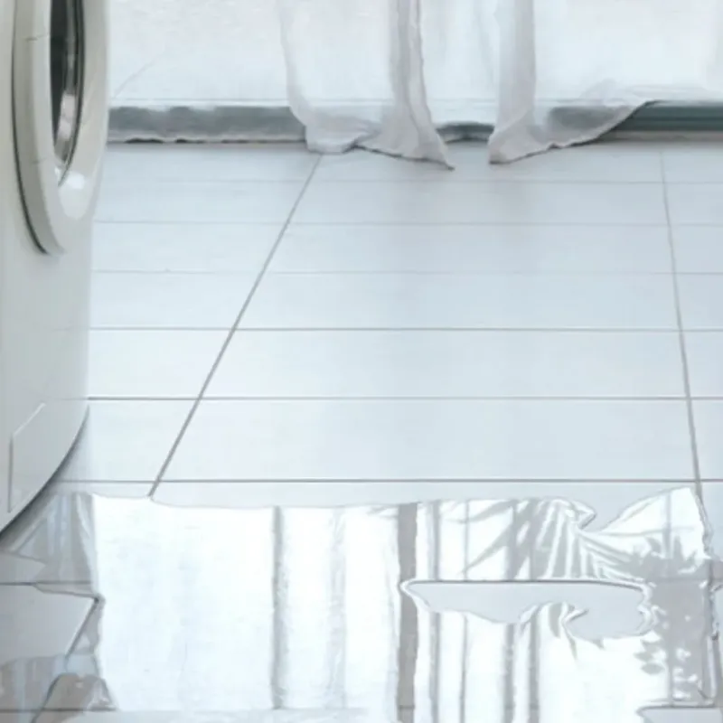 Appliance Leak Cleanup in Shady Side, MD