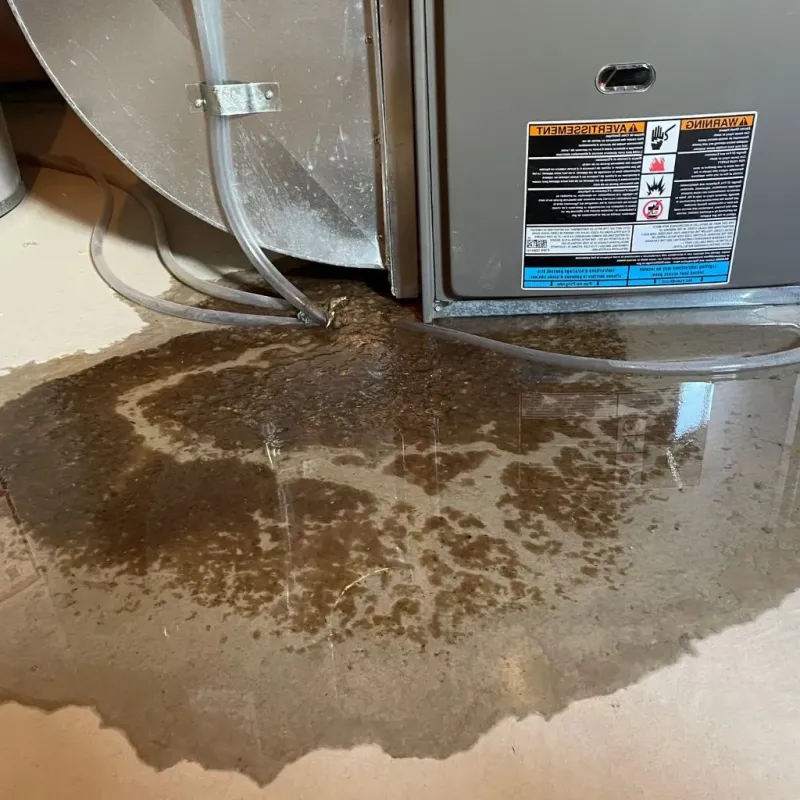 Pipe Burst and Leak Restoration in Shady Side, MD